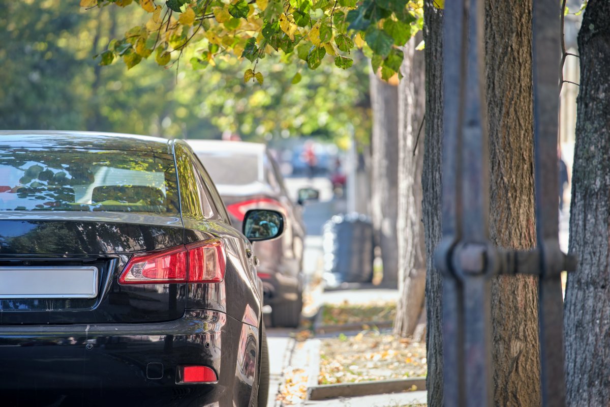 black sedan car street parked under the tree